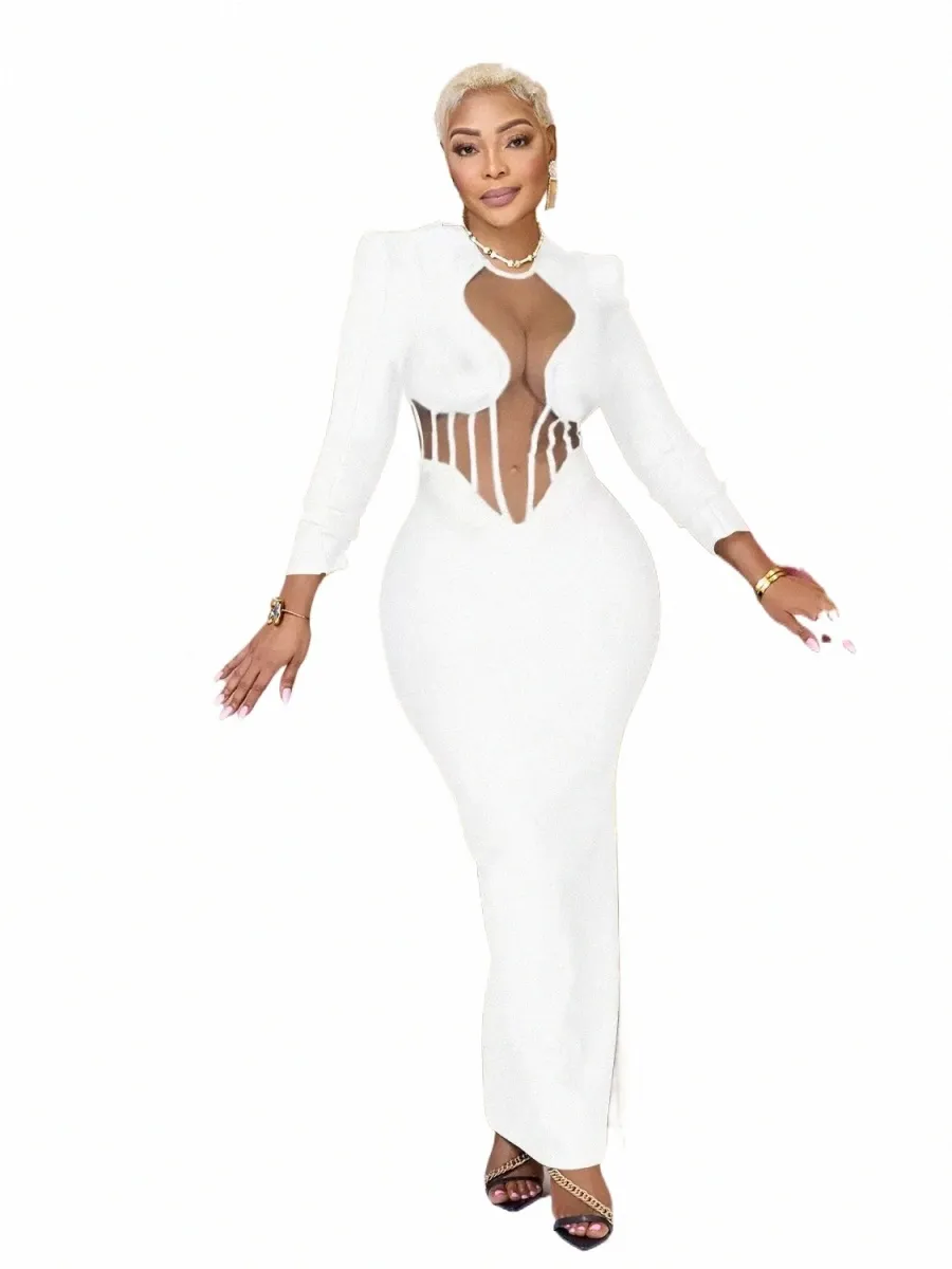 Womens Sexy Mesh Patchwork Dress Long Sleeve Tunic, Bodycon Midi