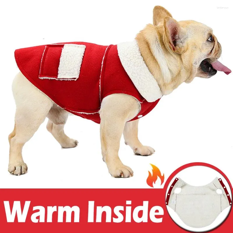 Abbigliamento per cani Designer Piccoli vestiti per cani di grossa taglia Addensare Peluche Impermeabile Inverno 2024 York Chihuahua Pug