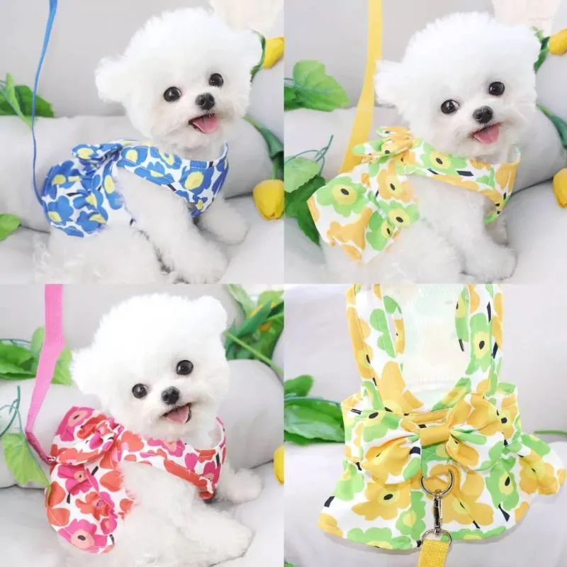 Hundebekleidung Haustier Prinzessin Kleid Frühling Sommer Mode Desinger Kleidung Kleiner süßer Cartoon Rock Katzengeschirr Chihuahua Pudel Yorkshire