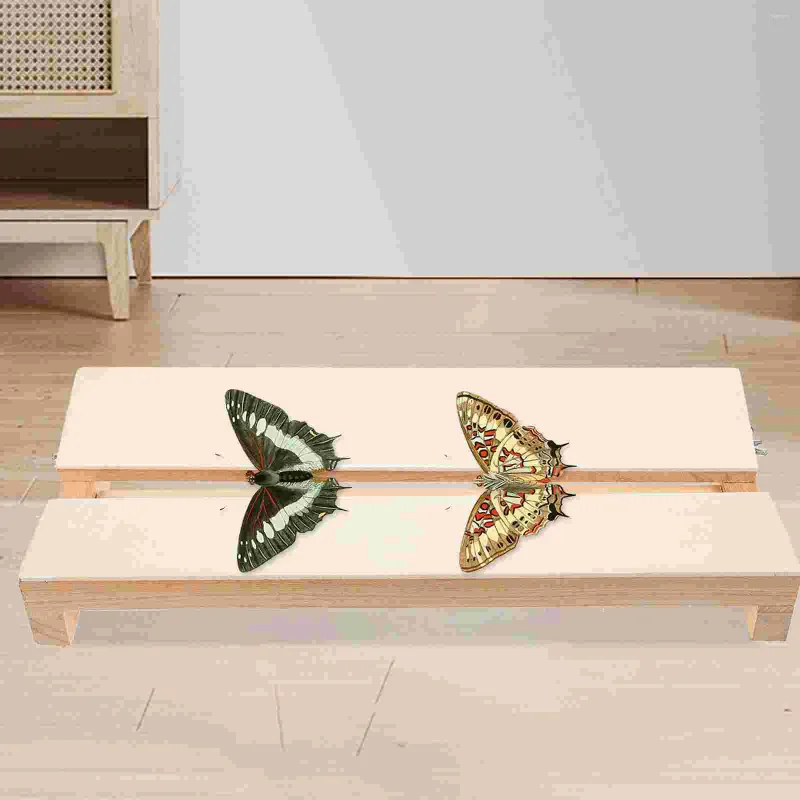 フレーム蝶の取り付け標本を広げる翼板の蝶