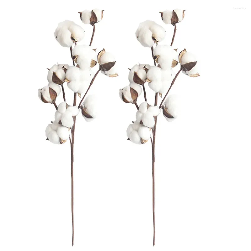 Flores decorativas naturais de algodão branco hastes flores secas ramo decoração floral 10 simulação para arranjos de outono