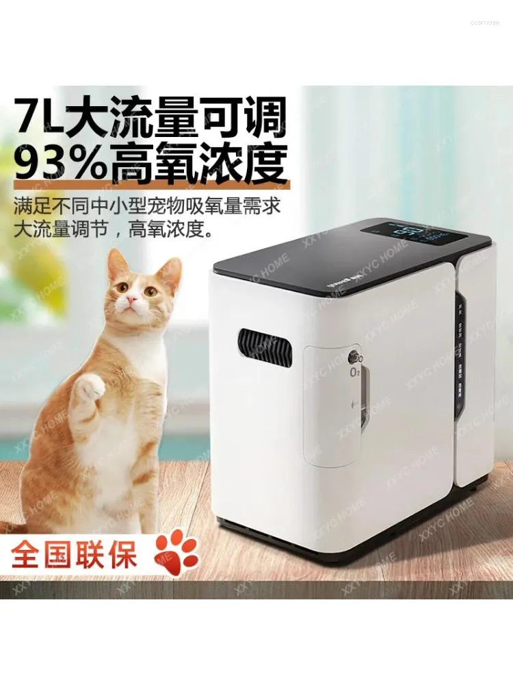 Pets at home small pet carrier hot sale