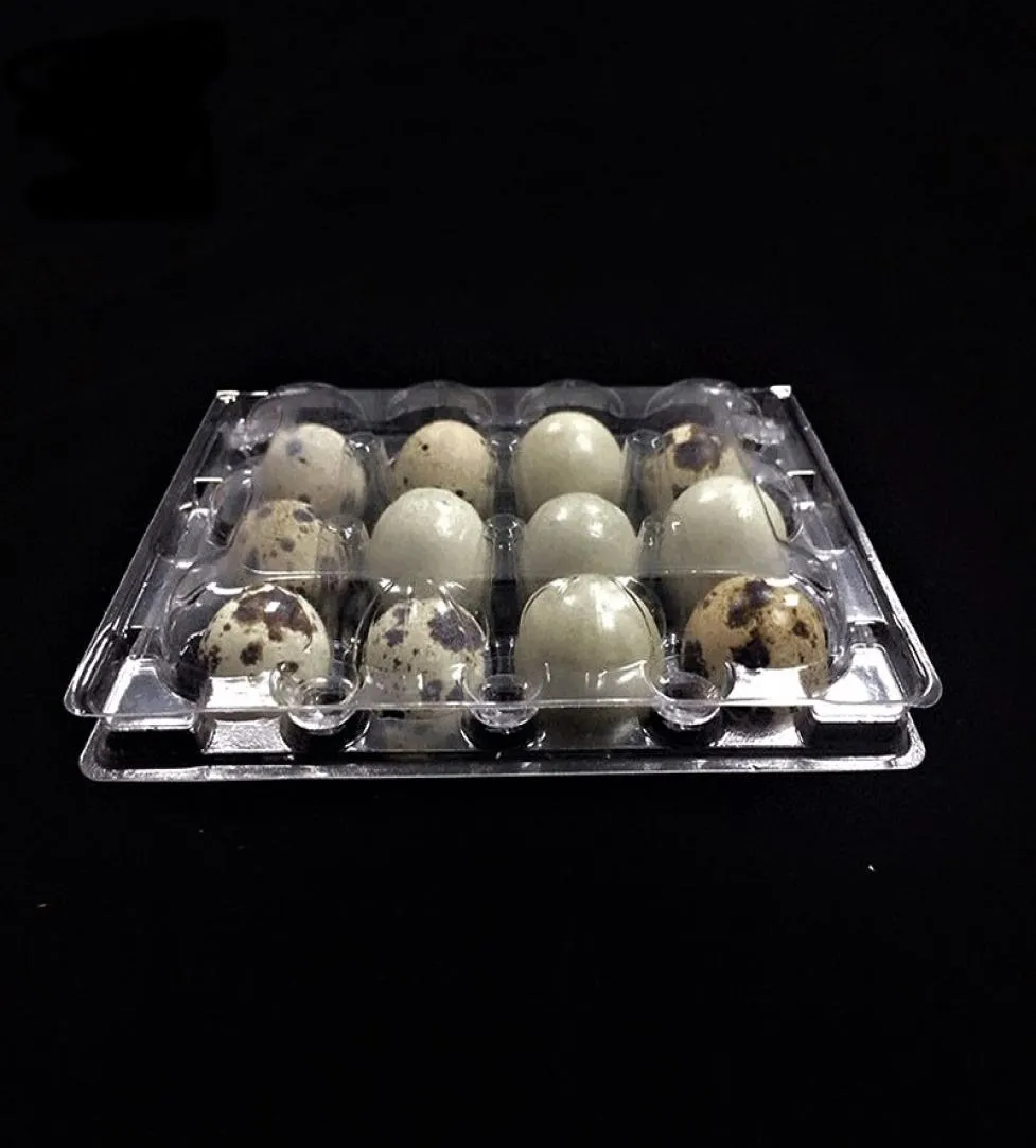 2000pcllot 12 otworów przepiórcze pojemniki na jajka plastikowe pudełka D28mm DH85758440889