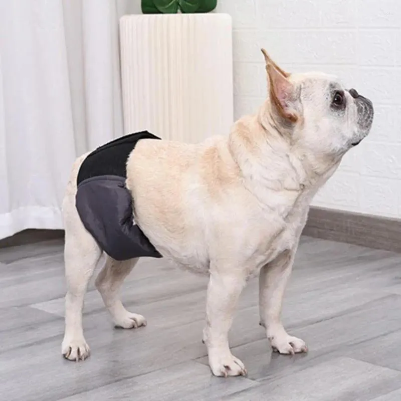 Vêtements pour chiens Couche féminine Tissu pour animaux de compagnie Facile à appliquer Prévention des infections Fonctionnelle Réutilisable Chiot Sanitaire Pantie