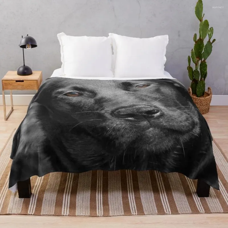 Mantas Labrador negro Piel de perro Cama decorativa doble Literas Sofá Manta