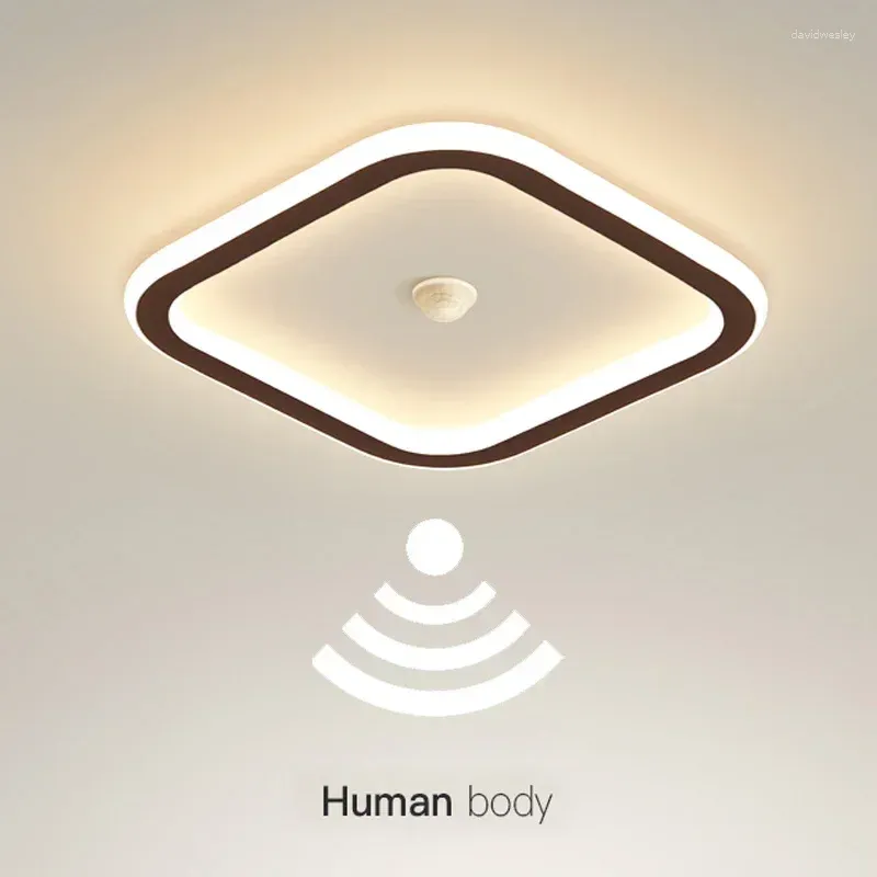 Ceiling Lights Modern LED Light Human Body Induction Lamp For Living Room Entrance Hallway Corridor Sensor Indoor Lighting Fixture