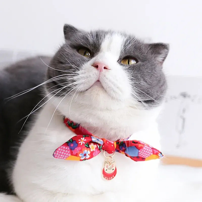 Handgefertigtes Katzenhalsband Aus Baumwolle – Mit Glöckchen & Fliege, Verstellbar (20–30 Cm), Für Katzen, Kätzchen & Kleine Hunde, 2 Stück In Rosa & Blau
