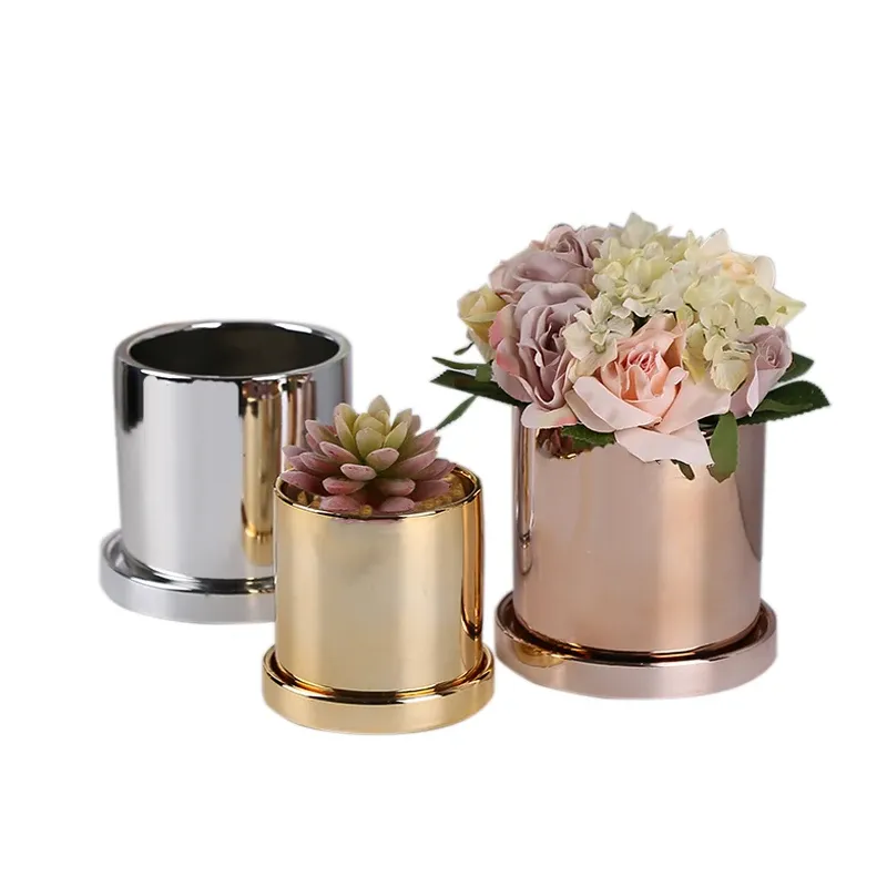 Wazony nordyckie sukulenty Orchid Kwiatowe doniczki ceramiczne srebrne złote pojemniki na stole ozdoby WJ814