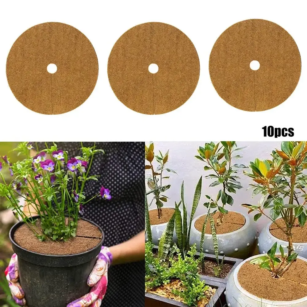 Liners 10st Coco Fiber Mat Natural Coconut Fibrers Liner Ring Weed Control Plant Cover Flower Pot Coco Coir Mulch Ring Mat