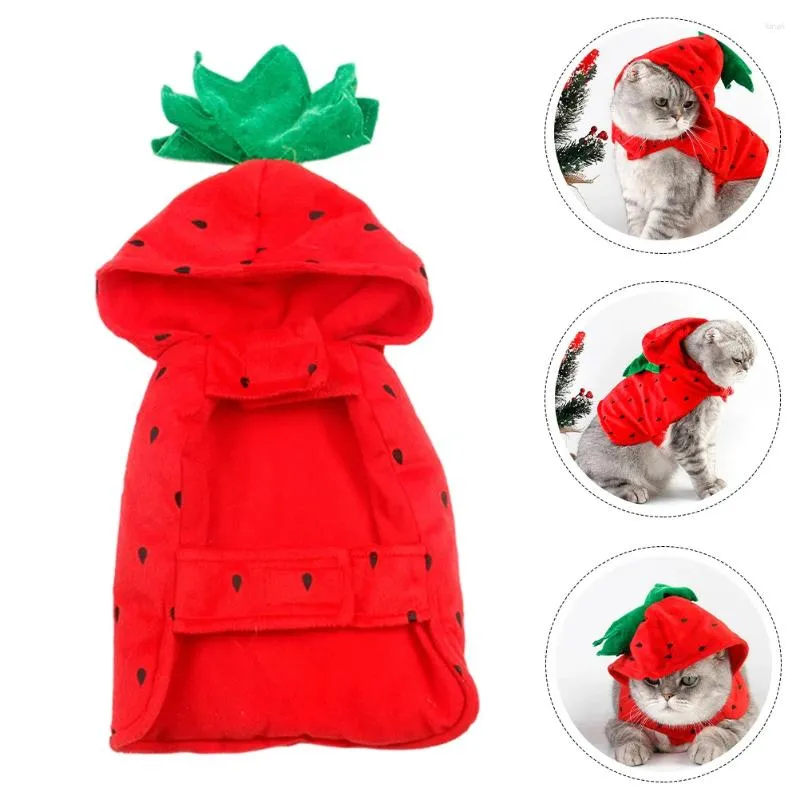 Kattdräkter kläder för husdjur flickor halloween kostym hund rolig kläder jordgubbe fleece härlig outfit semester dekorativ