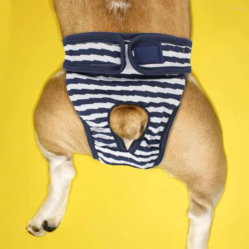 Vêtements pour chiens Sous-vêtements durables Pantalons menstruels multicolores lavables pour la peau pour pique-nique