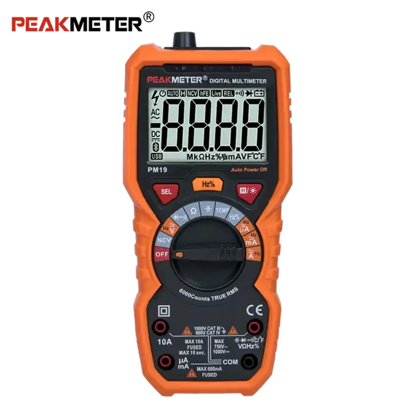 Multimètre numérique à plage automatique, 6000 points, True RMS, 1000V/750V, tension cc/AC, Instrument électrique PM19