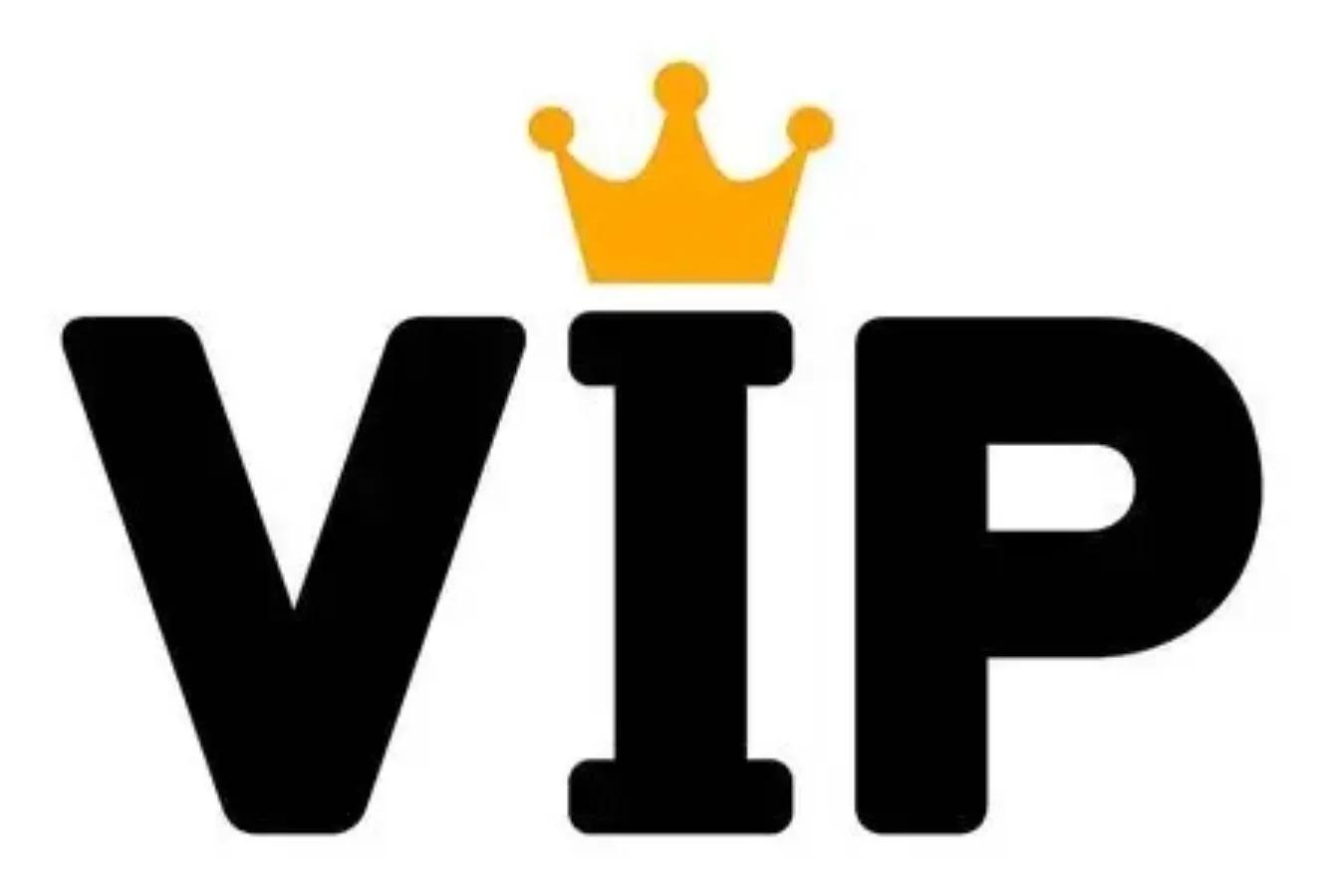 플러시 인형 장난감 고객 사용자 정의 제품 박제 플러시 동물 VIP 고객 지불 링크