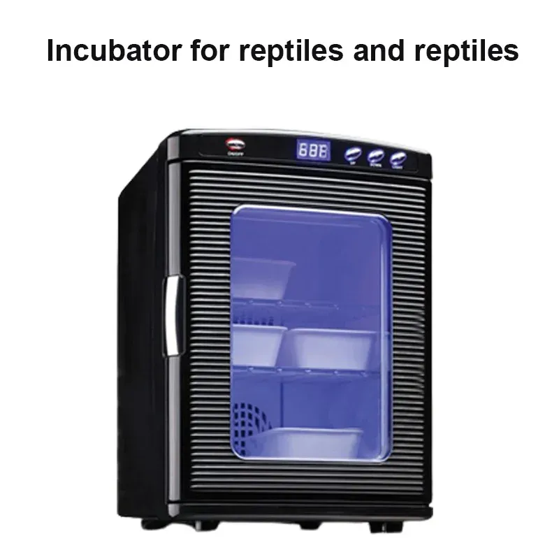 Terrariums Small Turtle Egg Automatic Incubator Reptile Lizard Snake Egg Chameleon Small Refrigerator Constant Temperature Fermentation Box