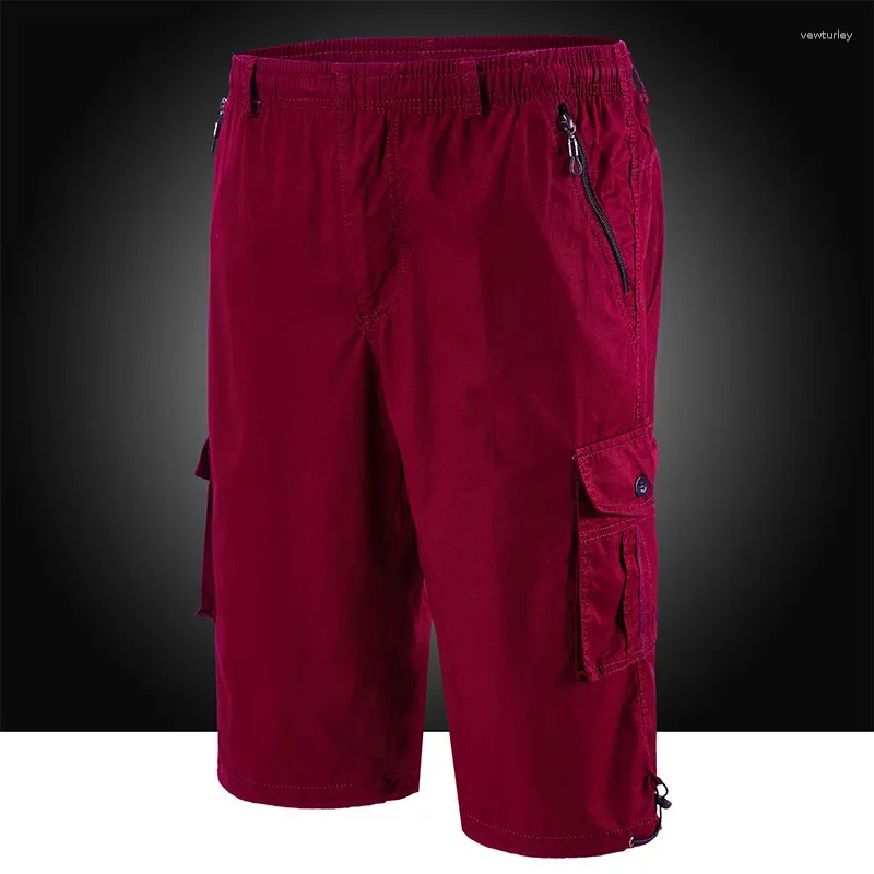 Shorts pour hommes Cargo Hommes Zipper Poche Beaucoup Breeche Longue Longueur 3/4 Pantalon court Coton Bermuda Été 2024 Casual Mâle