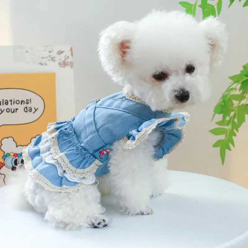 Abbigliamento per cani Abito da principessa per animali domestici Autunno Primavera Gonna dolce Piccoli vestiti alla moda Desinger Pettorina per gatti Camicia per cuccioli Chihuahua Pomerania