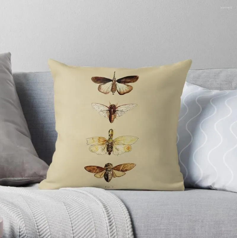 Pillow Entomology Studies Fig. 1 Throw Luxury Cover Custom Po Ornamental