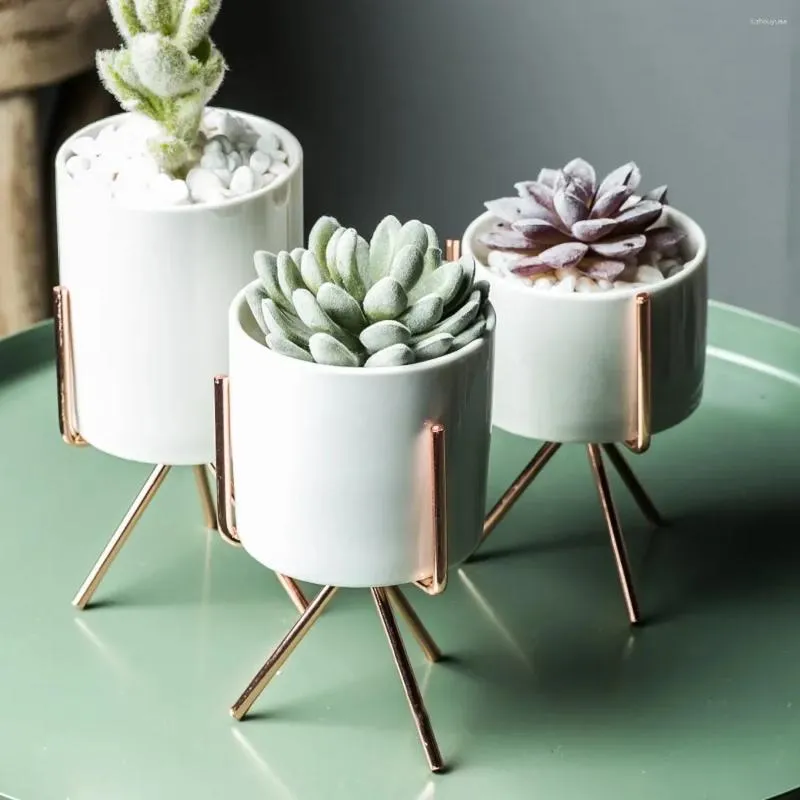 Vaser enkel nordisk stil keramik smidesjärn vas vardagsrum skrivbord prydnader gröna växter köttig blomma hem dekoration