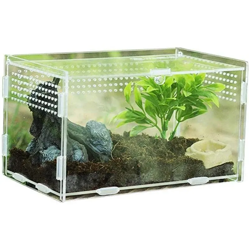 Terrarium Gad hodowla akrylowa przezroczysta pająk jaszczurka skorpion akrylowy owad oddychający owad oddychający terrarium