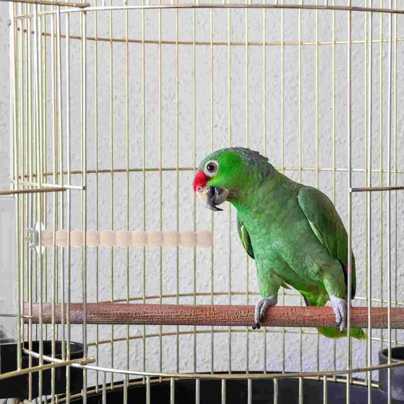 Inne zaopatrzenie ptaków zabawki z kakadu giełdki Krzyki Parakeet Krzyki