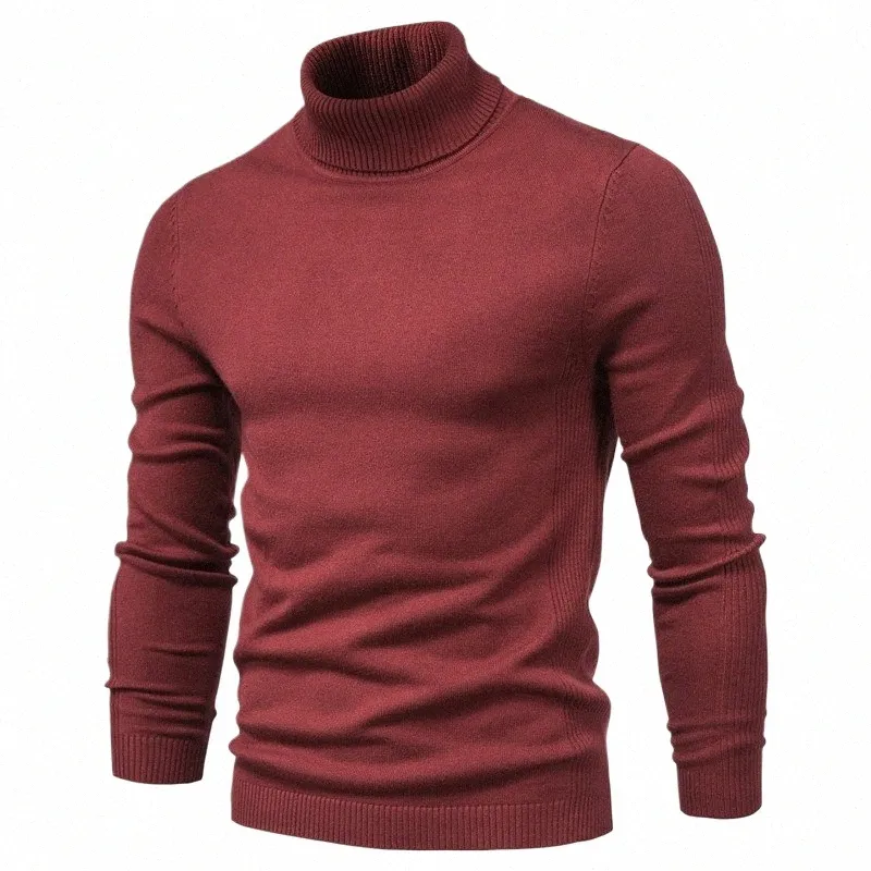 Nouveau hiver hommes pull à col roulé décontracté couleur unie pull chaud de haute qualité mince col haut manches Lg pull hommes r4im #