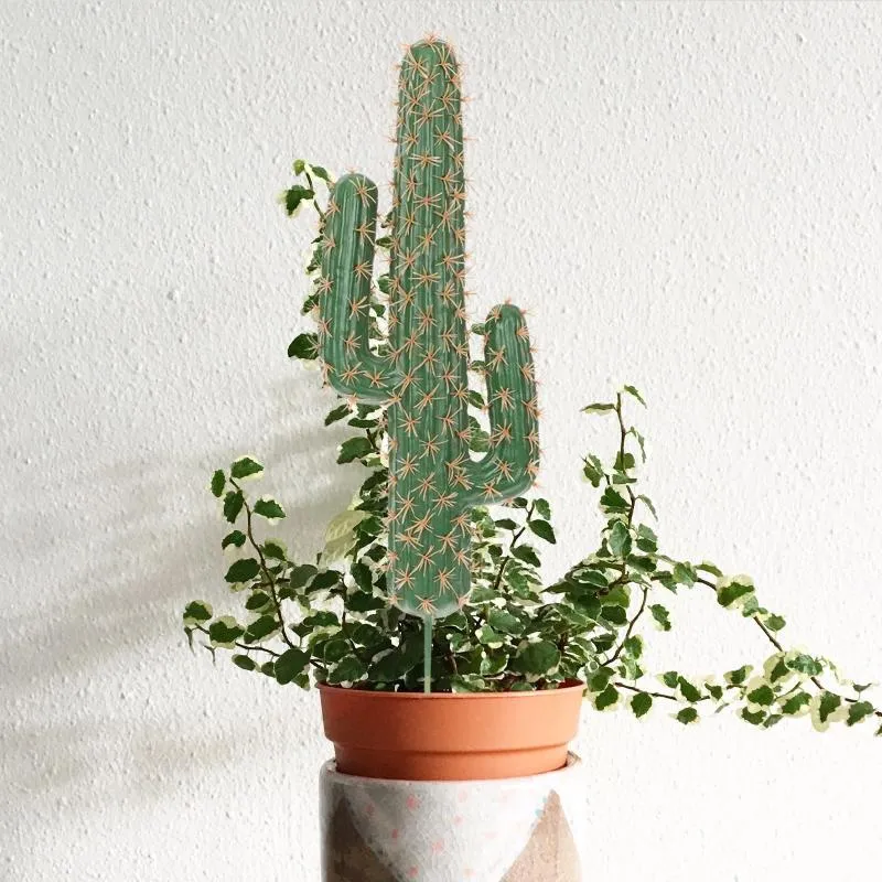 Ornamento di fiori decorativi Modello di cactus Ornamenti di piante simulati Decorazione di paesaggio artificiale Nessun banchetto in vaso