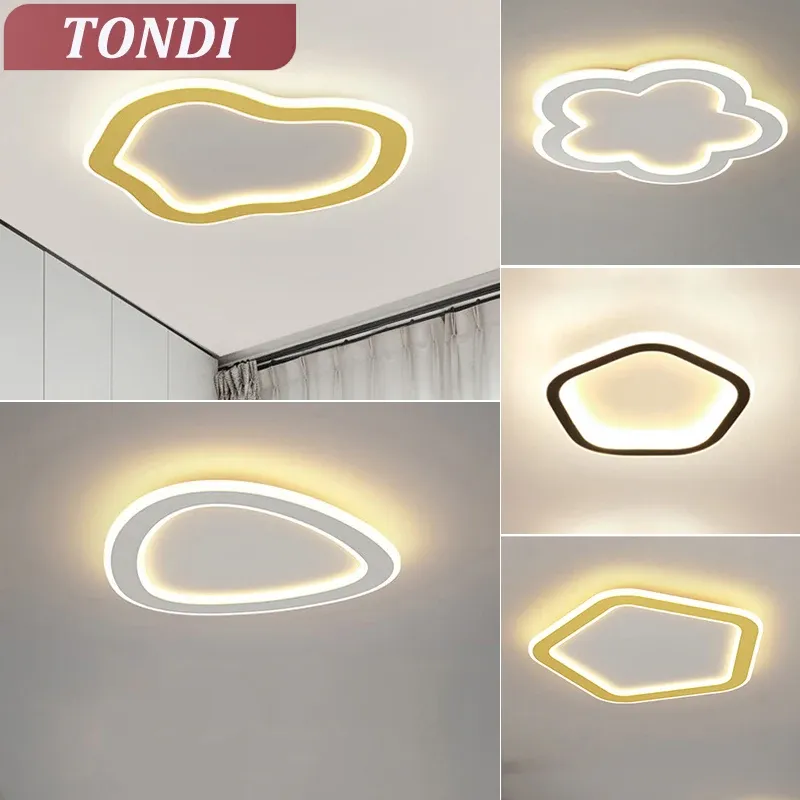 Modern LED Ceiling Lights Minimalist Indoor Lighting For Balcony, Aisle ... - Minimalist Industrial-Chic Ac Ceiling Lighting For