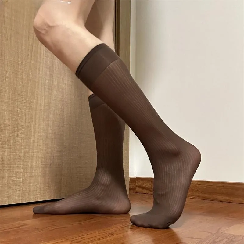 Chaussettes pour hommes Arrivée Gentleman Business Robe Soie Café Long Tube Mince Rayé Nylon Costume De Style Occidental