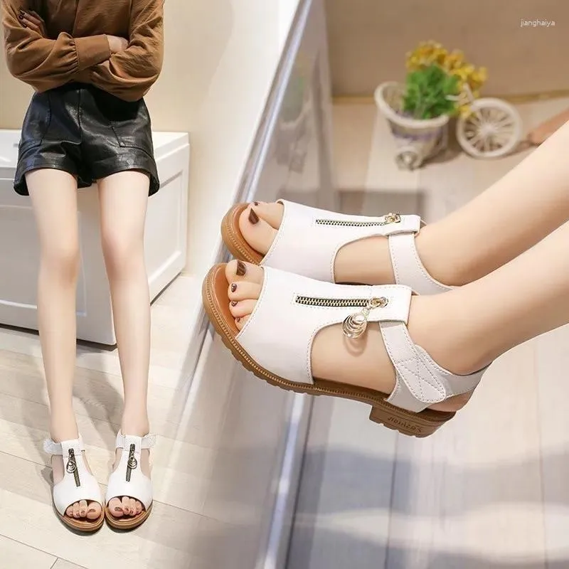 Casual Shoes Zipper Design Fashion Women's Sandals 2024 Summer Solid Color Simple Low Heel Classic Round Toe Ladies Sandal