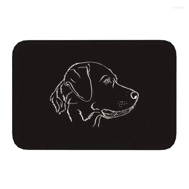 Tapis Labrador Retriever Portrait Chien Cadeau Paillasson Antidérapant Intérieur Bienvenue Chiot À Séchage Rapide Paillasson Pour Animaux De Compagnie Tapis D'entrée Tapis Footpad