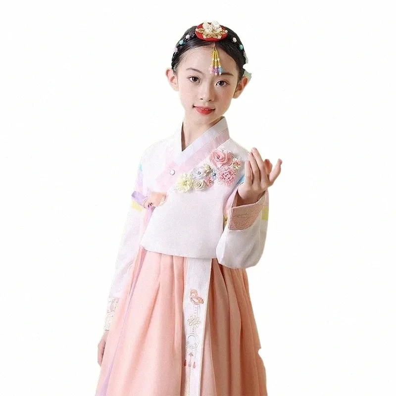 Abbigliamento tradizionale coreano Ragazze Hanbok Ricamo Manica Lg Costume di danza antica Performance sul palco Retro Court Dr o104 #