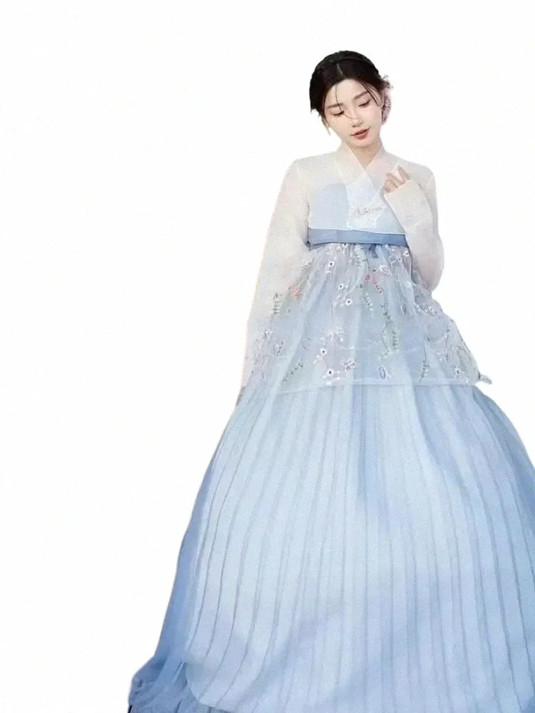 Elegant Blue Hanbok for Women Authentic Korean Traditional Dress, Palace  Style, Wedding Party Dance Costume Buy Now!