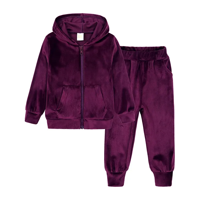 Kids Cozy Velvet Hoodies and Sweatpants Set Solid Color Spring Autumn Sports Outfit