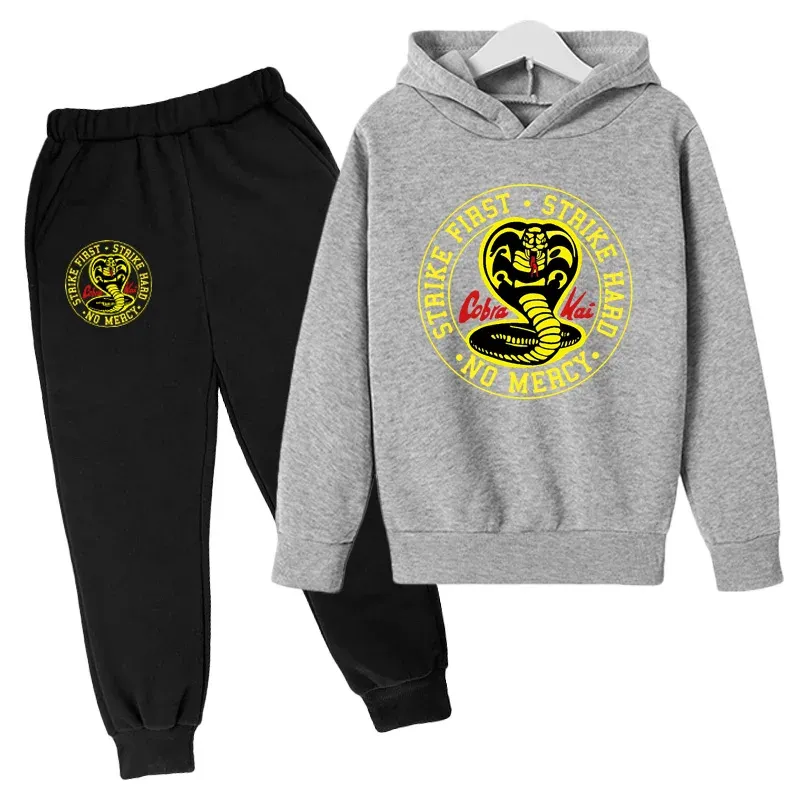 Cobra kai boys hoodie hotsell