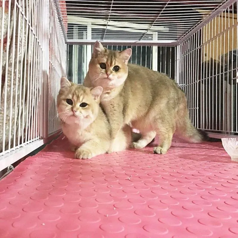 Gaiola transportadora para gatos, atacado, tapetes de borracha para animais de estimação, chão, à prova d'água, ação de pele, mais confortável, azul, rosa