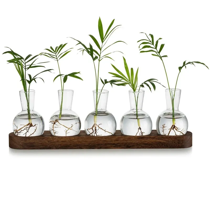 Vases Plant Terrarium Propagation Station, Glass Planter Bulb Vase With Wooden Tray, Modern Bud Vases For Office