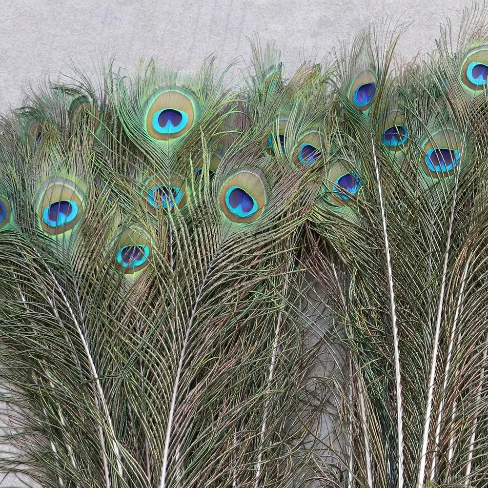 Plumas De Pavo Real Para Decoración De Manualidades DIY: 10/20 Piezas, 40  50 Cm, Fiesta De Bodas, Fabricación De Joyas, Detalles En Jarrones De Mesa  De 28,37 € | DHgate, image size:1000x1000