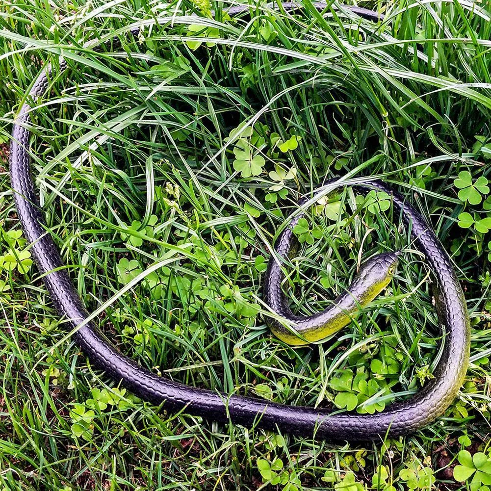 GREEN GARDEN RUBBER SNAKE-M GREEN GARDEN RUBBER SNAKE-M