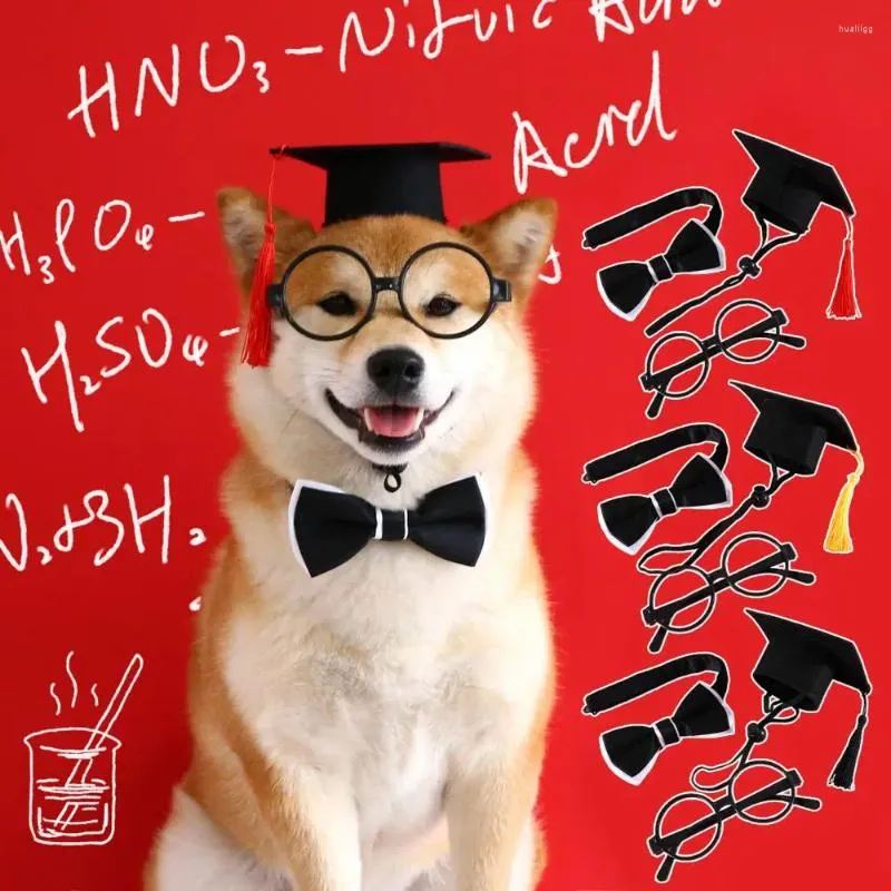 Vestido de cachorro vestir up up gatos criativos cães cães graduação chapéu de gola de gola de gola conjunta acessórios