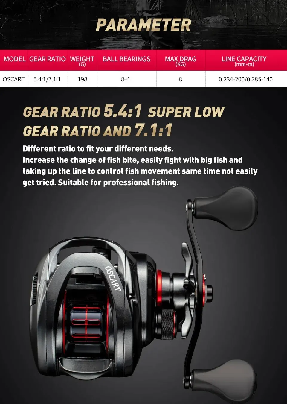 dobyns champion xp spinning rods Dobyns Champion XP Spinning Rod Review