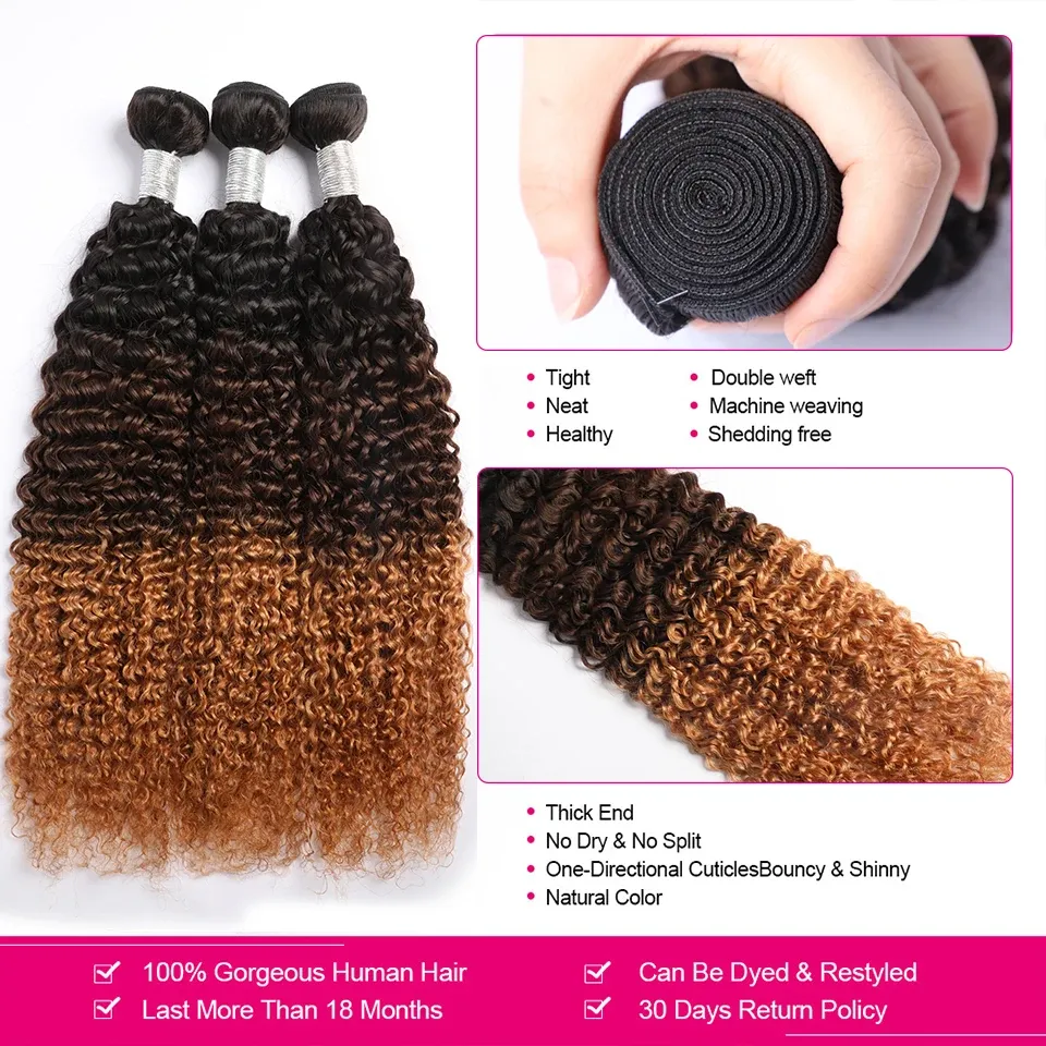 1B/4/27 Colored Kinky Curly Human Hair Bundles 10A Hair Curly Weave 1/3/4 Bundles Maxine Afro Kinky Curly Human Hair Extensions