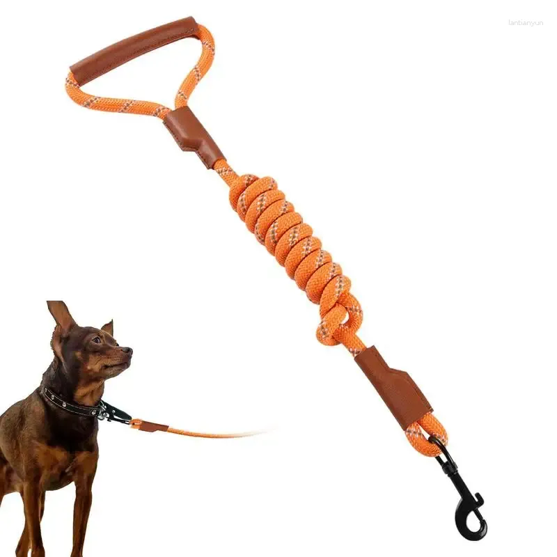 Halsbanden voor honden Zwaar uitgevoerd verstelbaar trekkabel Sterk beschermend leer Lopen met comfortabel handvat voor medium groot