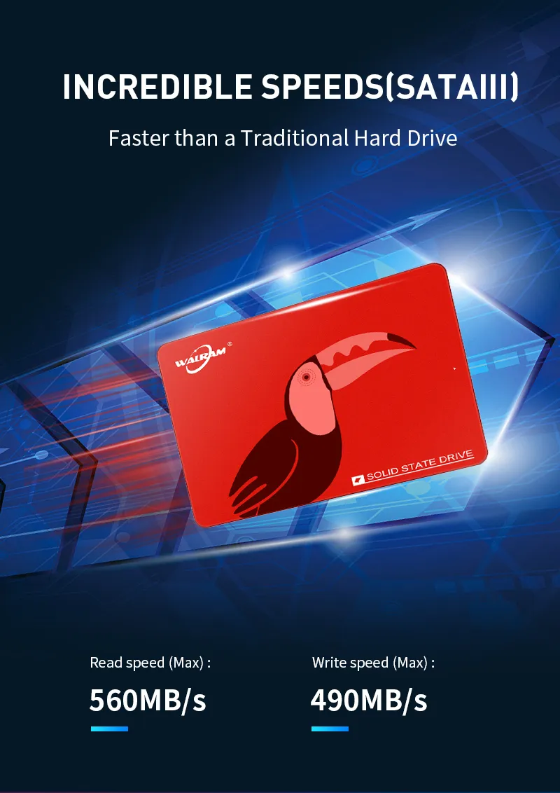WALRAM SSD: Reliable SATA3 SSDs for Enhanced Storage and
