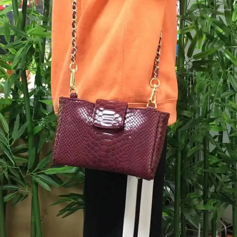 Snake Pattern Over The Shoulder Handbag