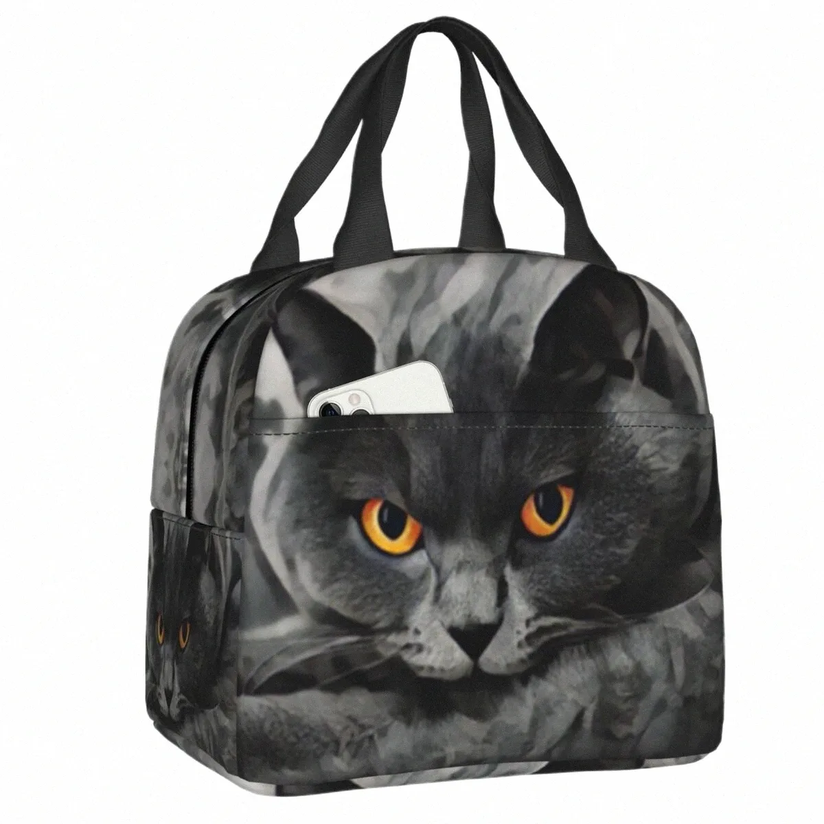 British Shorthair Cat Lunch Box dispositivo di raffreddamento caldo termico cibo isolato pranzo al sacco per le donne scuola picnic portatile Tote Ctainer n1QR #