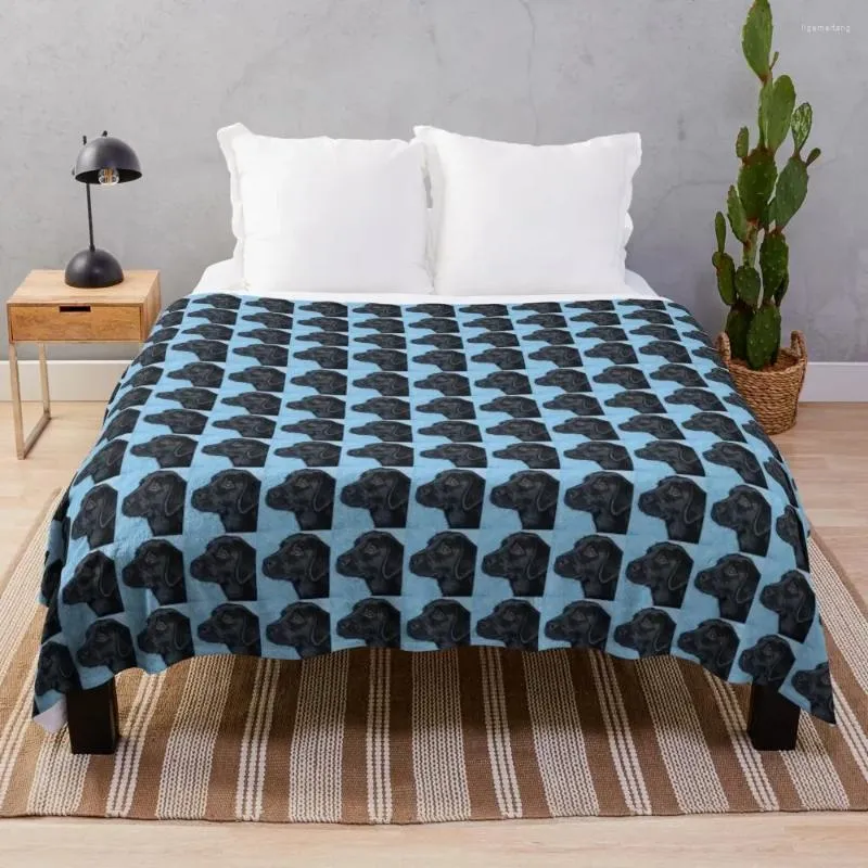 Decken, schwarzer Labrador-Welpe, Malerei, Überwurf, Decke, Sofa, Bett, weiche Bettbezüge, wunderschön dekorativ