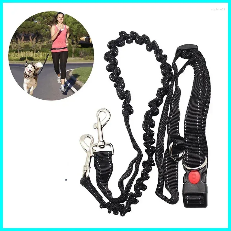 Collari per cani Cintura Guinzaglio Bungee Imbracatura da passeggio Guinzaglio Cani che corrono in vita Prime Jogging Fpr Pet Mani libere all'aperto