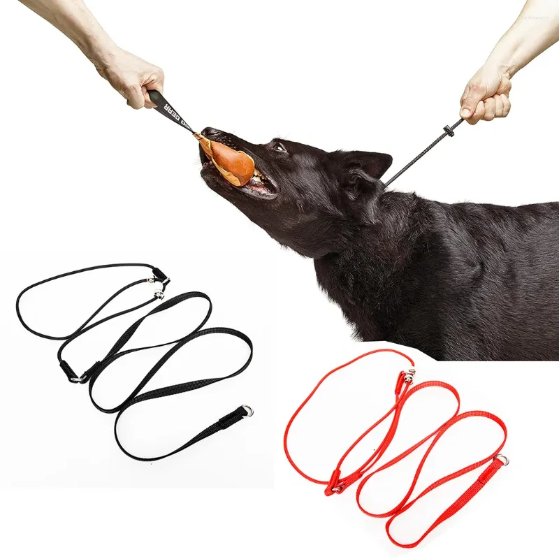Collari per cani Collare a strozzo in PET fatto a mano con corda resistente Girocollo impermeabile per addestramento K9 Agitazione Morso Lavoro Obbedienza Cavi Forniture