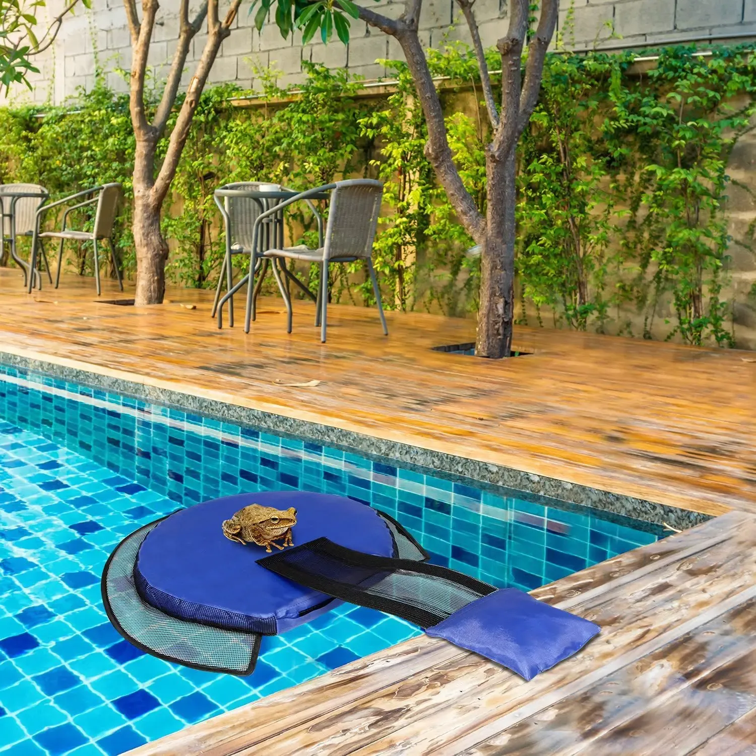 Rescue Ramp Animal Escape Ramp Small Animal Pool Rescue Ramp Small Animal Pool ...