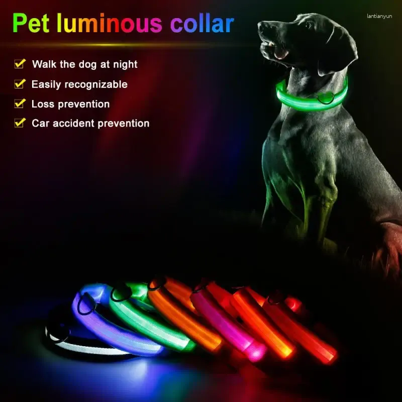 Collari per cani Collare per animali domestici LED luminoso notturno di sicurezza Anti-smarrimento lampeggiante Piombo fluorescente